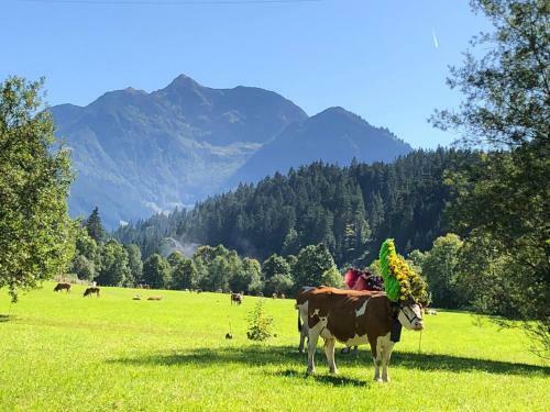Agroturismo Bio-bauernhof Niederlehen