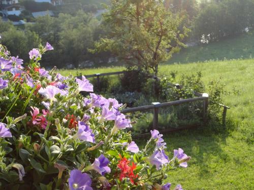 Agroturismo Bio-bauernhof Niederlehen