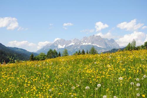 Agroturismo Bio-bauernhof Niederlehen