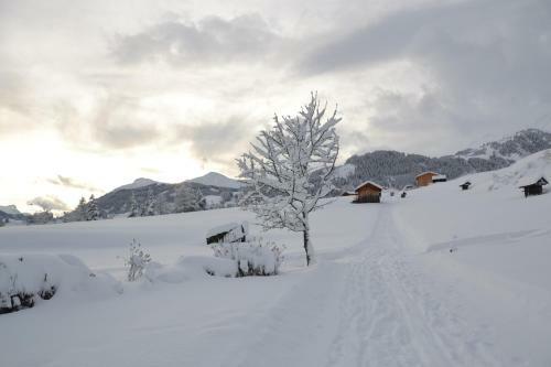 Apartamento Haus Steinacker
