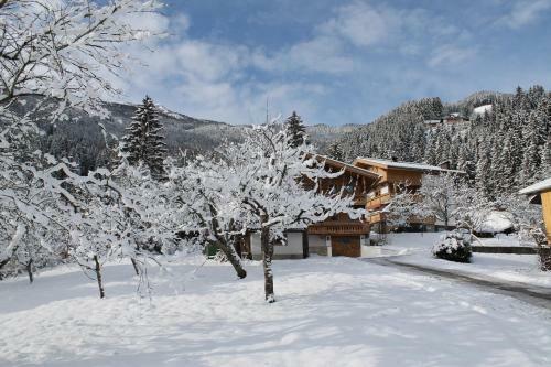 Chalet Alte M�hle