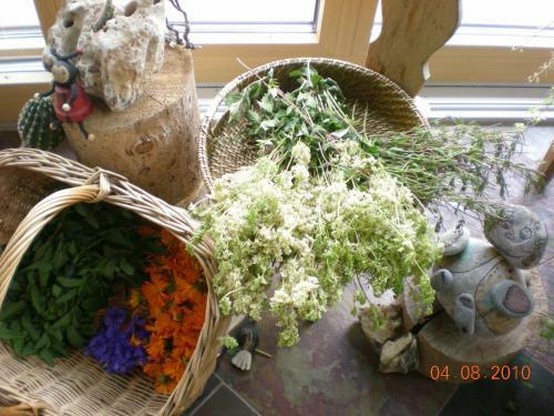 Apartamento Haus Brunnacker
