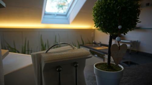 Apartamento Ferienwohnung Schicker