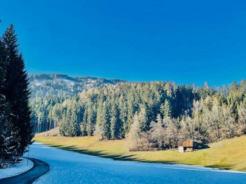 Apartamento Royal Swan Appartement, Tirol