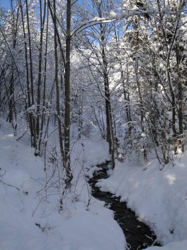 Chalet Tyrol
