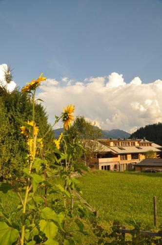 Apartamento Sonnenapartment