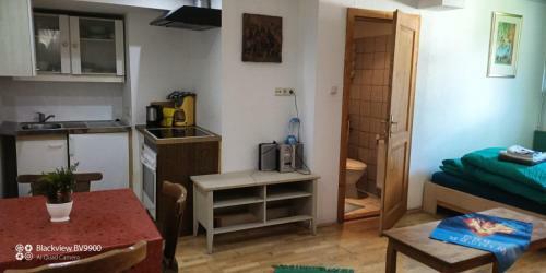 Apartamento Hinterrinnbach Appartments