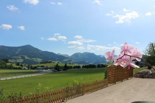Apartamento Ferienwohnung Conny