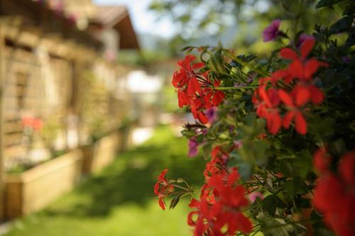 Apartamento Alpen-nest Gro�arl
