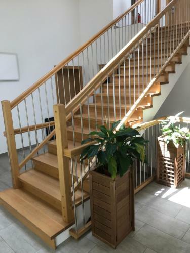 Apartamentos Platzhirsch