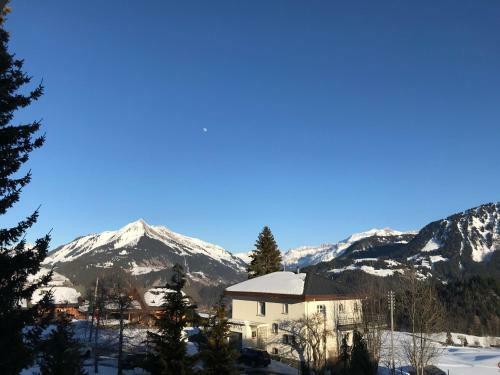 Nice Apartment 2.5pcs Leysin At 50m From Ski Lift