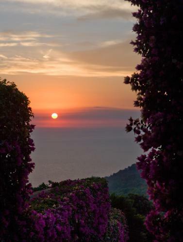 B&B The Sunset