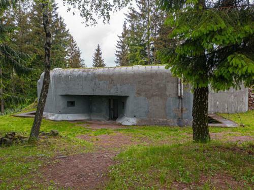 Treehouses Sn??n�k