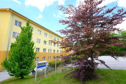 Apartamento Lipno Wellness - Frymburk C 401