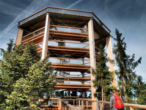 Vivat Lipno! - Lake View Apartment