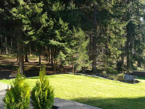Apartm�ny Lipnoczech
