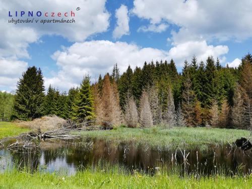 Apartm�ny Lipnoczech