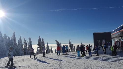 Apartm�ny Lipnoczech