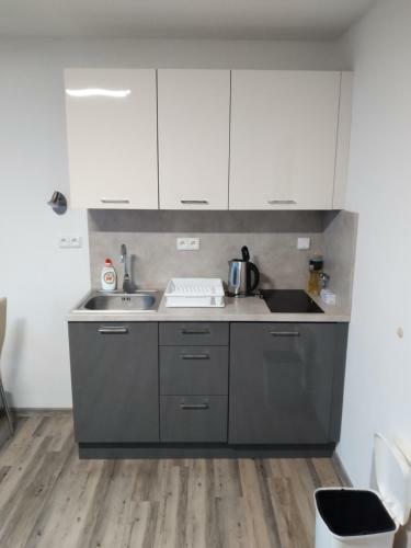 Apartm�ny Kovadlina 4