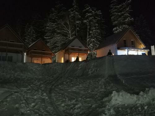 Lipno-lake