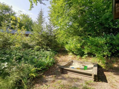 Blockhaus Am Twistesee Mit 3 Schlafzimmern