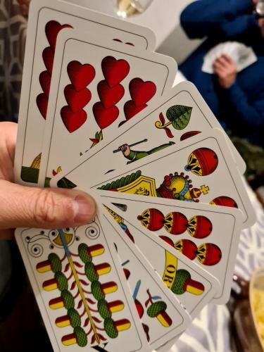 Pohoda Lipno, Celoro?n� Whirlpool, Ly?ov�n�