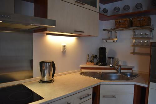 Apartment Mumlava Falls