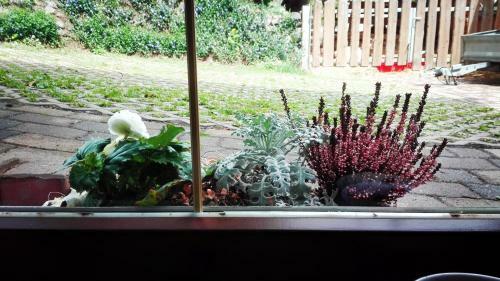 Bed & Breakfast G�stezimmer Familie M�ller