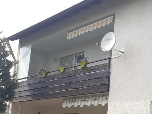 Apartamentos Lotus