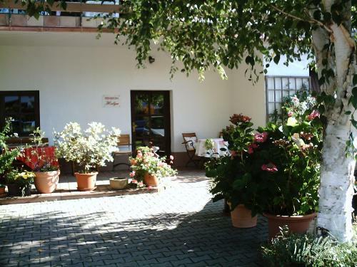 Hostal Pension Helga