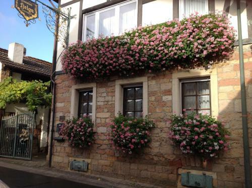 Hostal Pension Helga