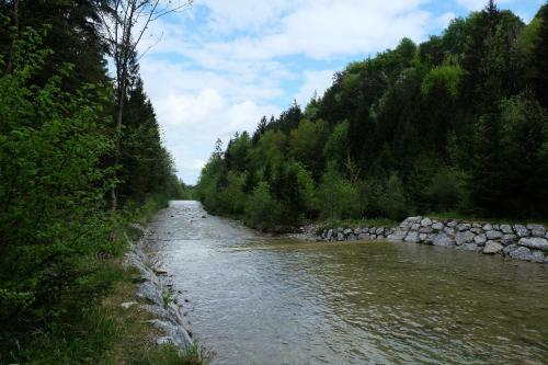 Apartamento Am Jenbach