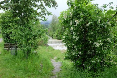Apartamento Am Jenbach