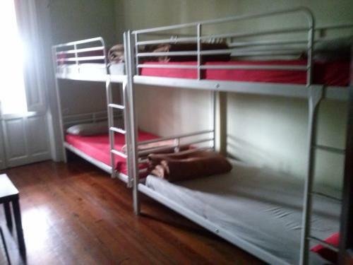 Albergue Roots & Boots