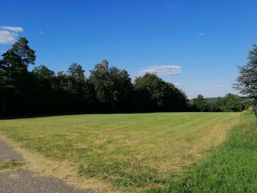 Apartamento Modernes Schwarzwald-appartement 'ahorn'