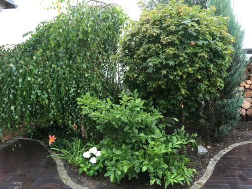 Apartamento Appartment Maggy