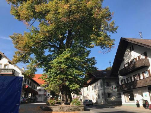 Apartamento Am-berg Ferienwohnung In Bad Kohlgrub
