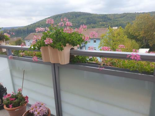 Apartamentos Ferienwohnung Berg View Bad Kissingen