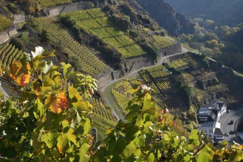 Apartamentos Arwilere