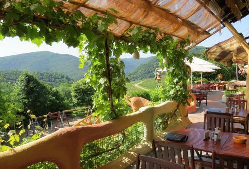 Apartamento F�rsters Weinterrassen