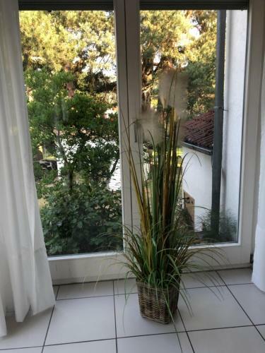 Apartamento Ferienimspessart Eg
