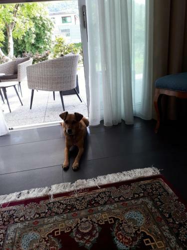 Bad S�ckingen - Sie Werden Sich Hier Wohlf�hlen