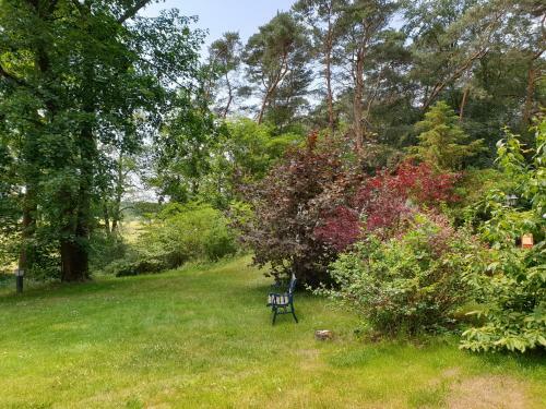 Apartamento Appartement Waldfrieden Am Scharm�tzelsee