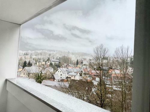 Hostal Harz Hotel Und G�stehaus Am Bornweg