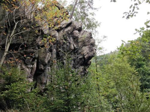 Hostal Harz Hotel Und G�stehaus Am Bornweg