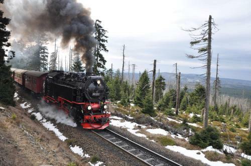 Hostal Harz Hotel Und G�stehaus Am Bornweg