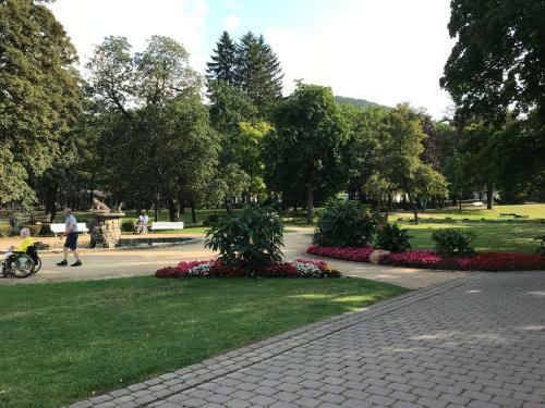 Apartamento Waldblick - Bad Harzburg