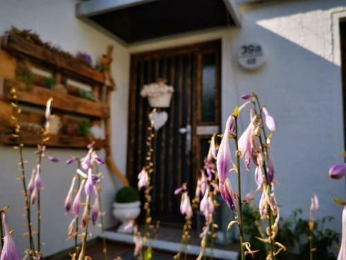 Waldst�berl Bungalow-loft-studio