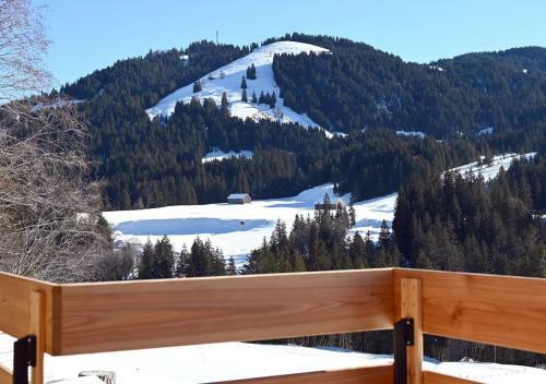 Chalet Dahuim