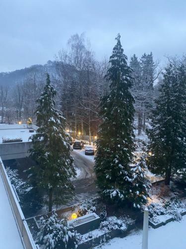 Apartamento Bergblick - Fewo Mit Schwimmbad Und Sauna